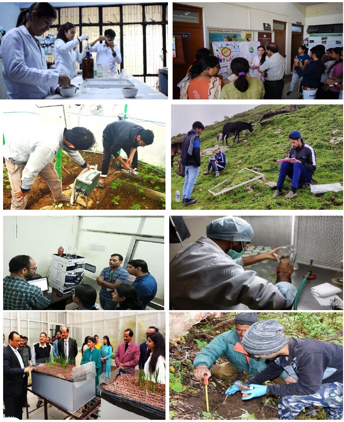 Glimpses of various activities