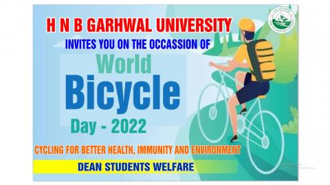 World Bicycle Day