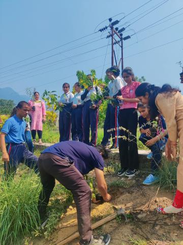 World Environment Day (5th June)   