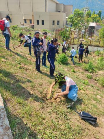 World Environment Day (5th June)   