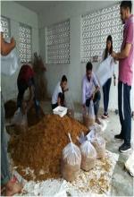 Oyster mushroom bag filling