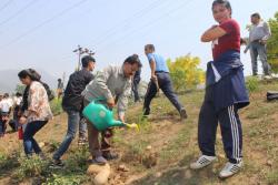 World Environment Day (5th June)   